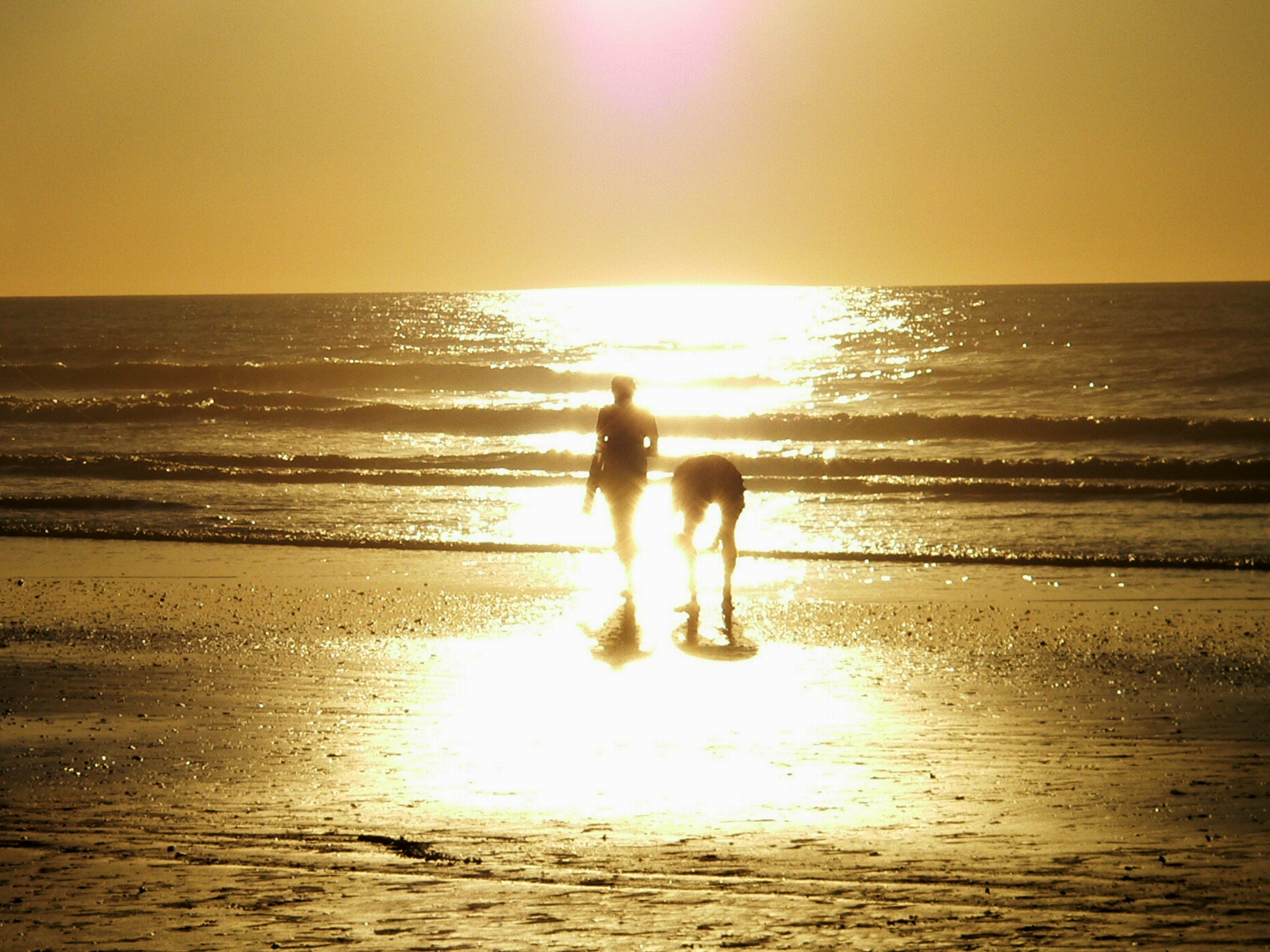 people on beach